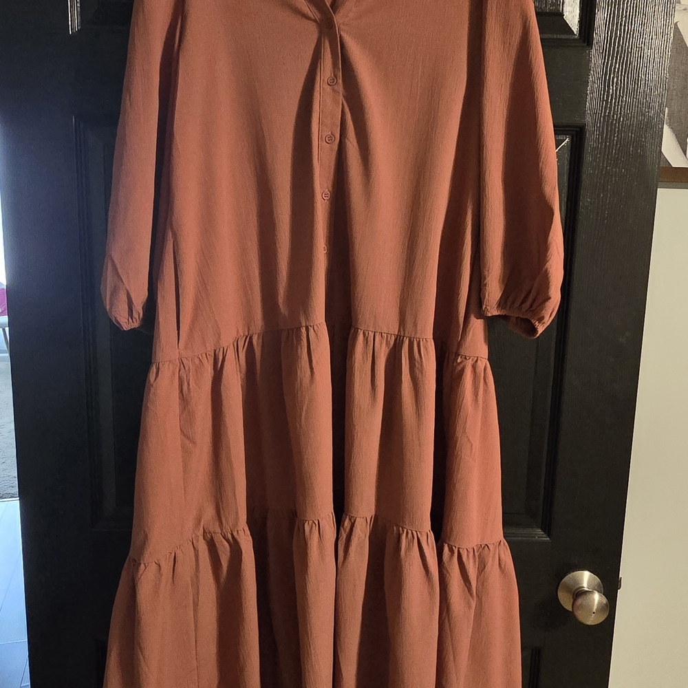 Entro Terracotta Button-Up Dress